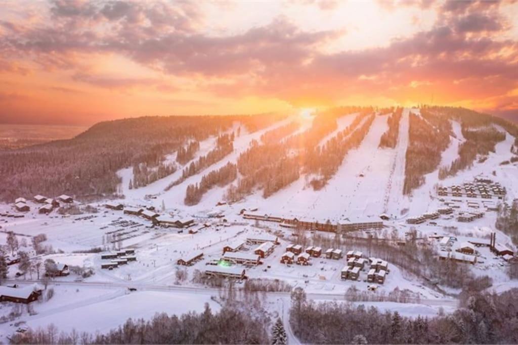 Kungsbergetnatur Järbo Esterno foto